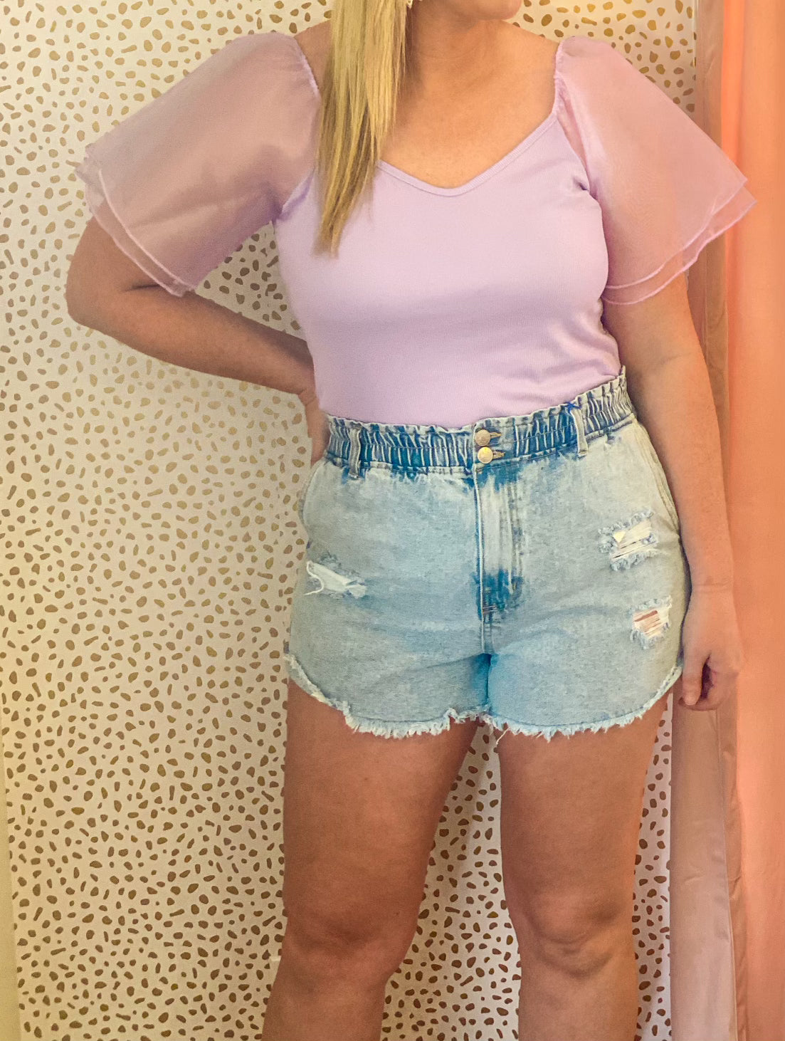 Lilac chiffon sleeve top